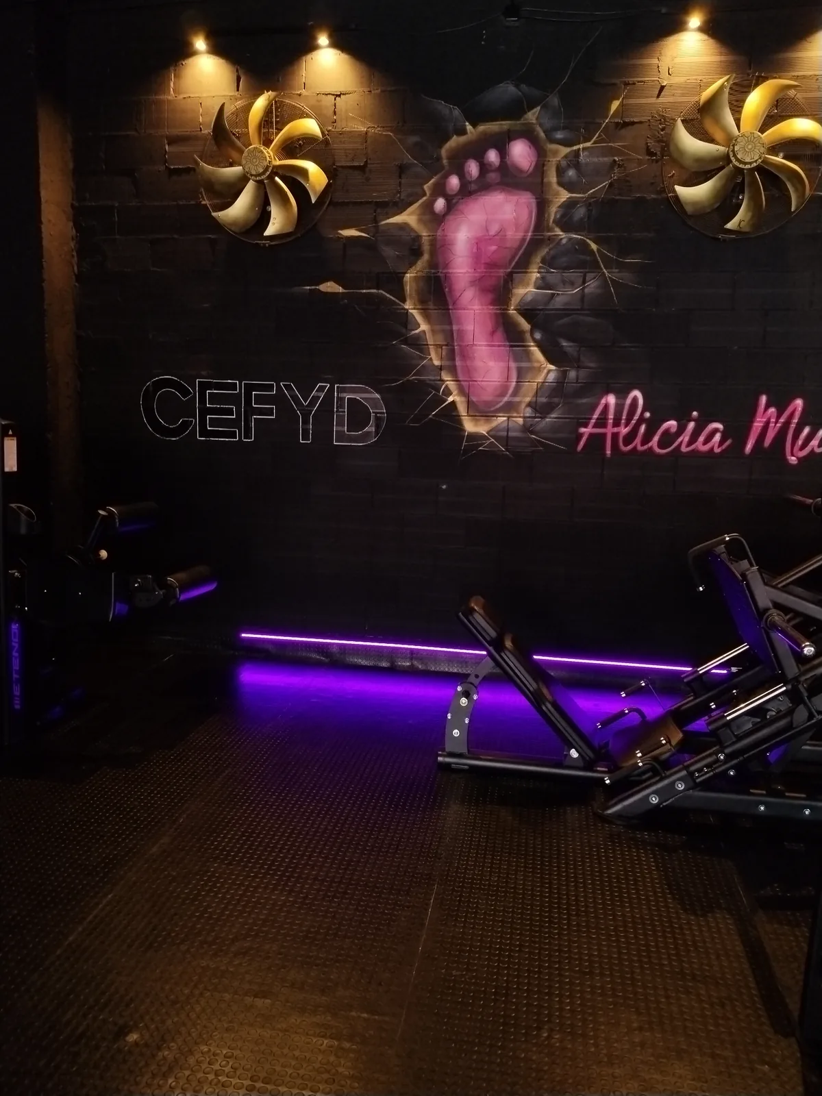 Instalaciones actuales de CEFYD con su identidad corporativa